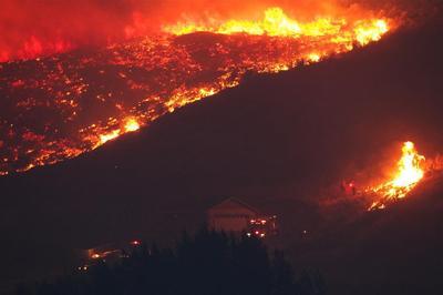wildfire raging in a hillside