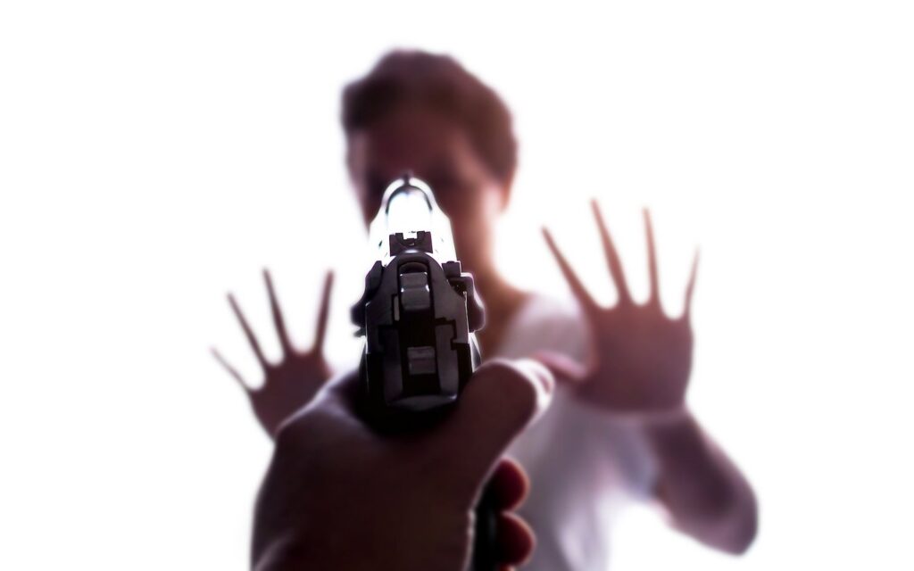 Gun pointing at person as an example of a violation of NRS 202.290
