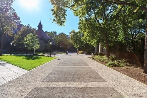 campus (NRS 201.550)