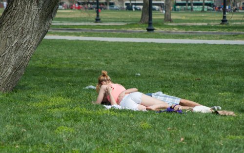 couple kissing in a public park 