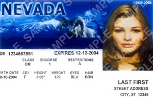 A Nevada driver's license, which as a Nevada resident you must carry while driving or face misdemeanor charges under NRS 483.230