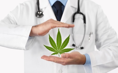 Doctor in white coat holding medical marijuana leaf